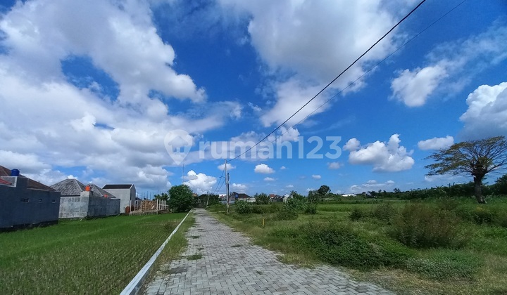 Affordable Vacant Land for Sale Near Jogja City
