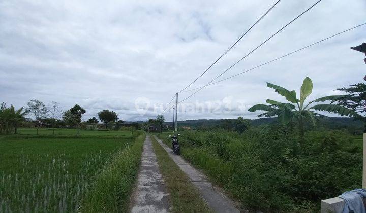 Dijual Tanah Pekarangan Murah Dekat Pondok Binbaz Piyungan Karanggayam 2