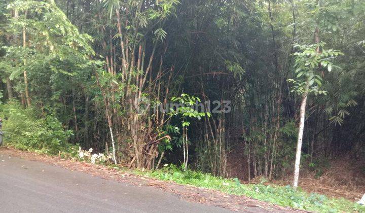 Tanah di loano purworejo 1