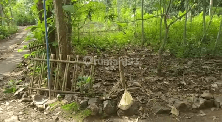 Tanah murah dekat kampus Gunungkidul 2