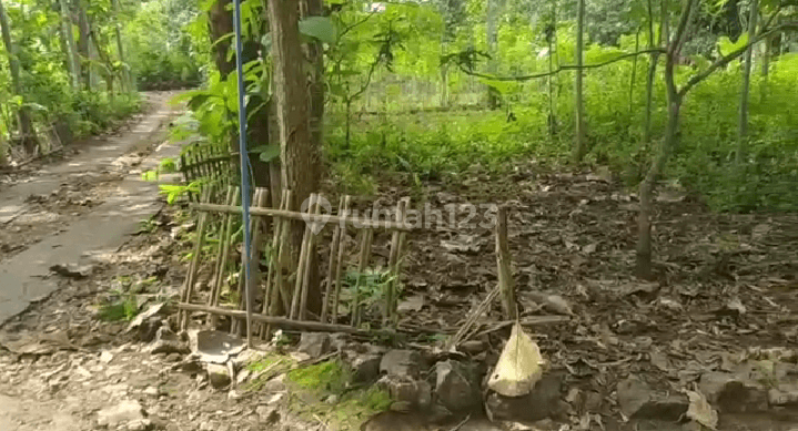 Tanah murah dekat kampus Gunungkidul 3