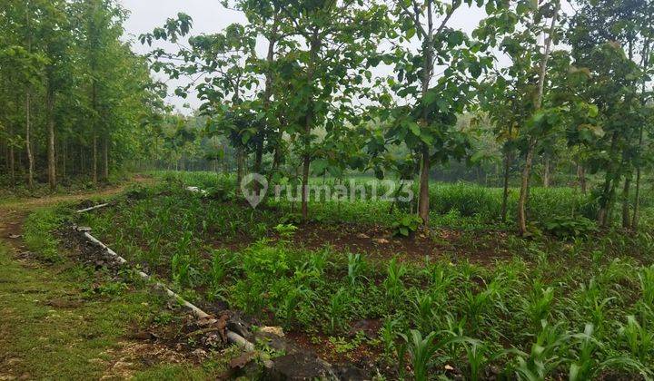 Tanah  dekat calon UPN Gunungkidul 1