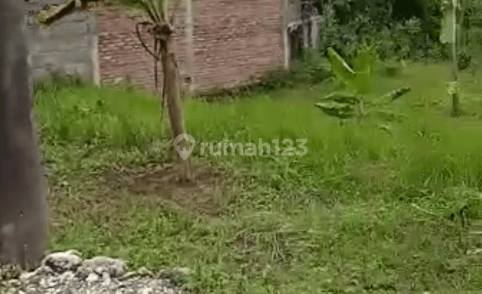 Tanah subur tepi jalan aspal sambipitu 2