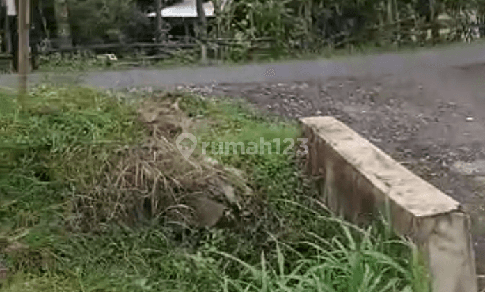 Tanah subur tepi jalan aspal sambipitu 3