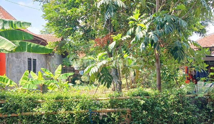 For Sale, Ready-to-Build Plot Located Near Undip Campus, Semarang 1