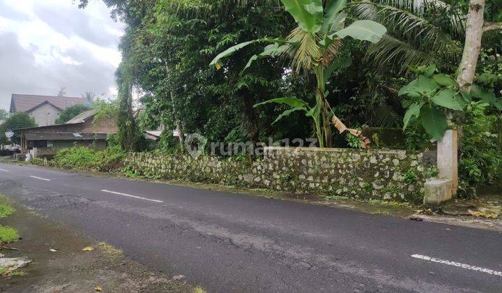 DIJUAL TANAH STRATEGIS DI TEPI JALAN AGROWISATA JOGJA 2