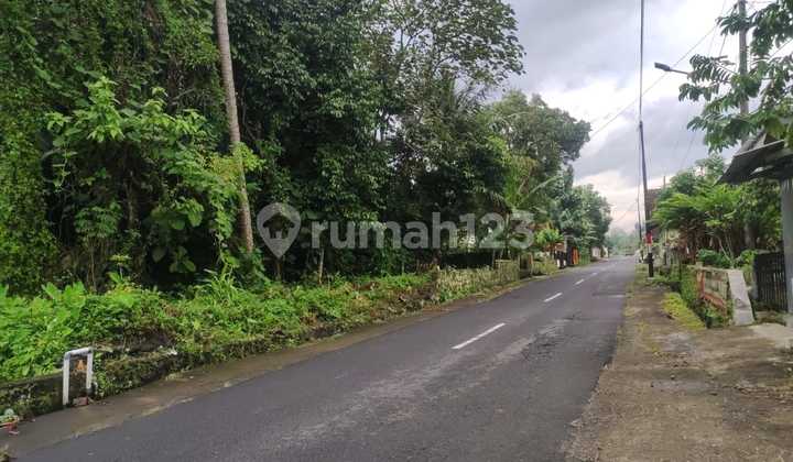 DIJUAL TANAH STRATEGIS DI TEPI JALAN AGROWISATA JOGJA 3