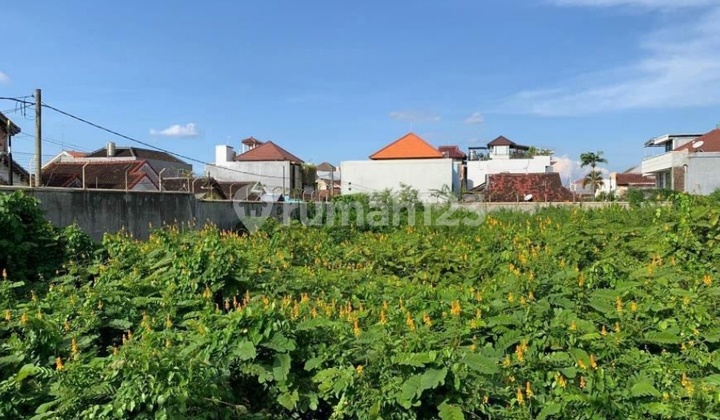 Di Jual Ruang Usaha sekaligus Gudang di Denpasar Bali 6