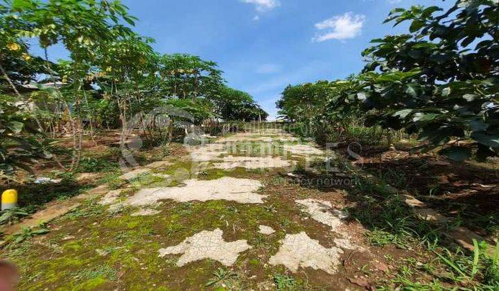 Dijual 9 Kavling Strategis Cocok di Jadikan Perum di Ngamprah 1
