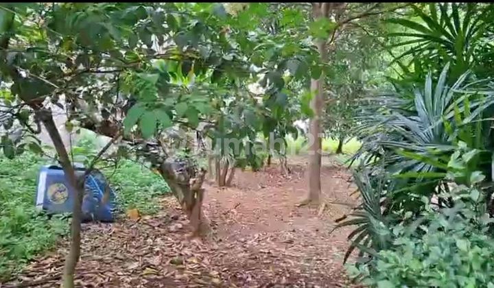 Jual Tanah Pasar Lembang Ciledug