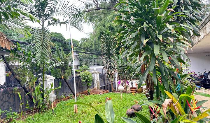 Beautiful House on a Rectangular Plot of Land