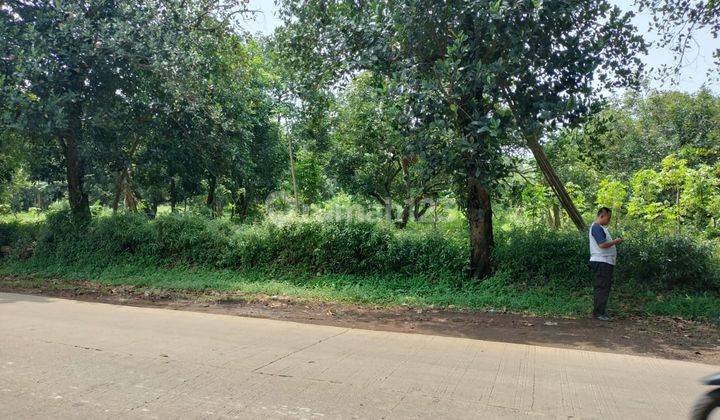 Di Jual Tanah di Subang, Luas 5.800 Sqm, 1,2jt sqm