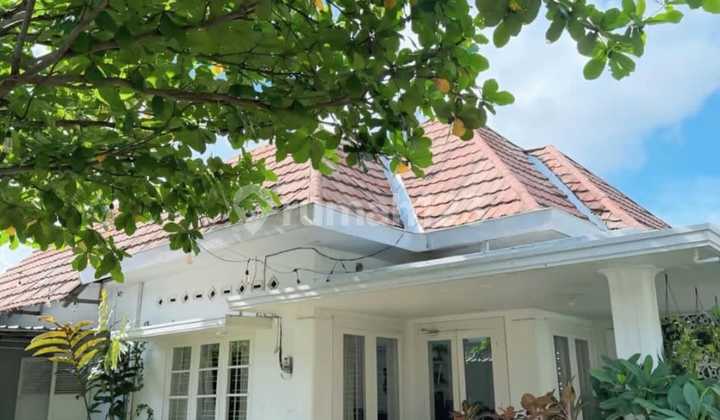 Dijual Rumah Kolonial Eksklusif di Tengah Kota Yogyakarta 2