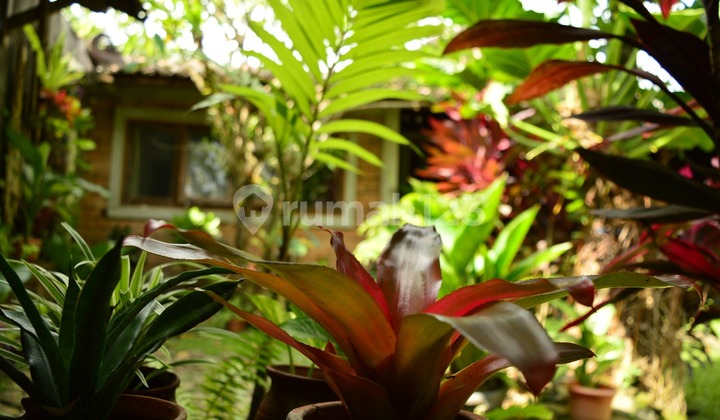 For Sale Cheap Modern Javanese Ethnic House Fully Furnished in Bantul Yogyakarta