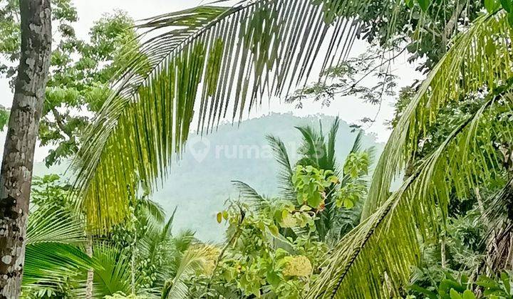 Dijual Tanah Harga Murah Utara Bandara Yia Yogyakarta 12
