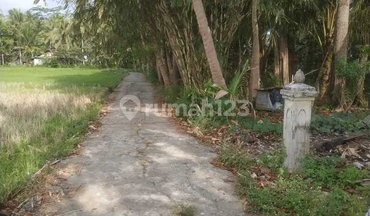 Dijual Tanah Istimewa Harga Murah Sangat Dekat Bandara Yia Yogyakarta 1