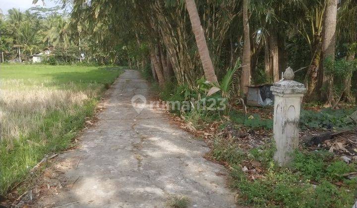 Dijual Tanah Istimewa Harga Murah Sangat Dekat Bandara Yia Yogyakarta 2