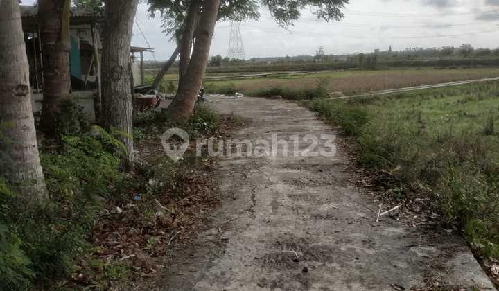 Dijual Tanah Istimewa Harga Murah Sangat Dekat Bandara Yia Yogyakarta 7