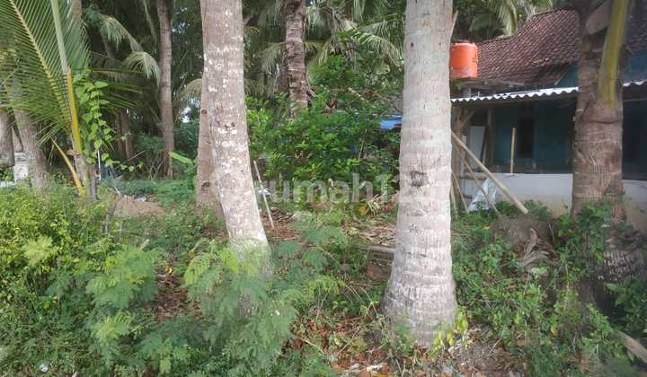Dijual Tanah Istimewa Harga Murah Sangat Dekat Bandara Yia Yogyakarta 10