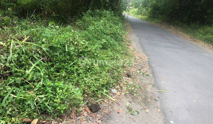 Dijual Tanah Pekarangan Harga Murah Dekat Perusahaan Internasional di Jawa Tengah 5