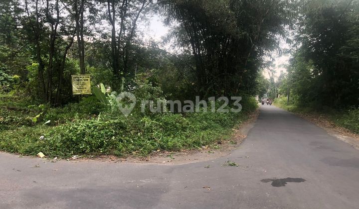 Dijual Tanah Pekarangan Harga Murah Dekat Perusahaan Internasional di Jawa Tengah 6