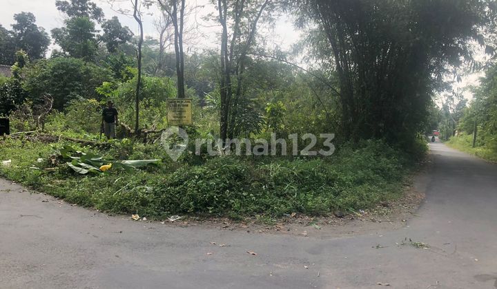 Dijual Tanah Pekarangan Harga Murah Dekat Perusahaan Internasional di Jawa Tengah 8