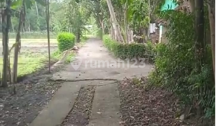 Dijual Tanah Murah Dekat Kota Wates Dan Bandara Yogyakarta View Sawah 9