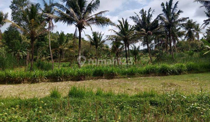 Dijual Tanah Murah View Alam Pedesaan Dekat Kampus Uny Yogyakarta 1