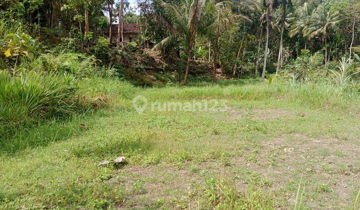 Dijual Tanah Murah View Alam Pedesaan Dekat Kampus Uny Yogyakarta 2