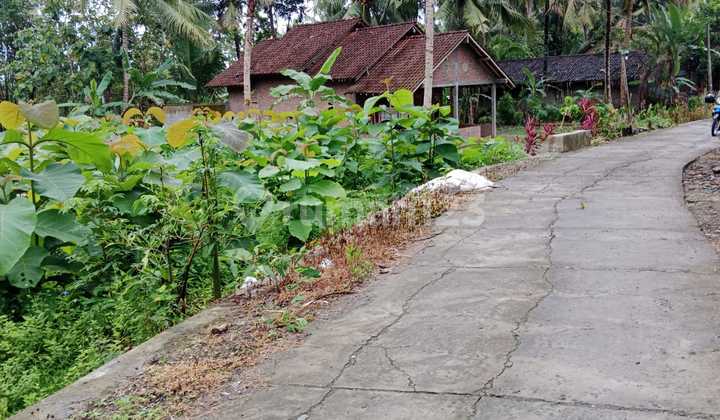 Tanah Murah View Alam Pedesaan Dekat Kampus Uny 7