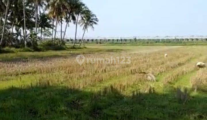 Dijual Tanah Murah Dekat Bandara Yogyakakarta Hanya Sekitar 1 Km  1