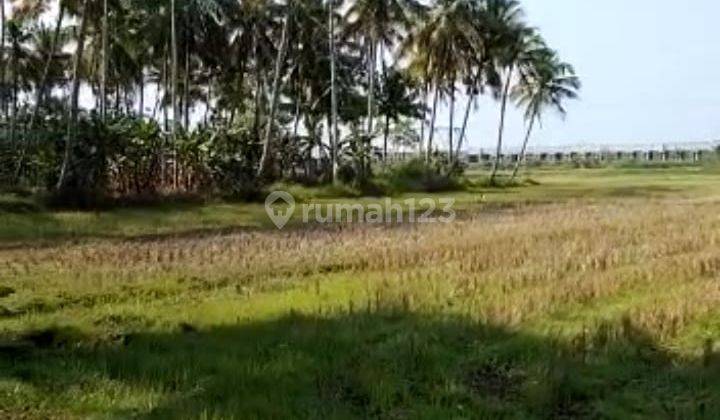Dijual Tanah Murah Dekat Bandara Yogyakakarta Hanya Sekitar 1 Km  2