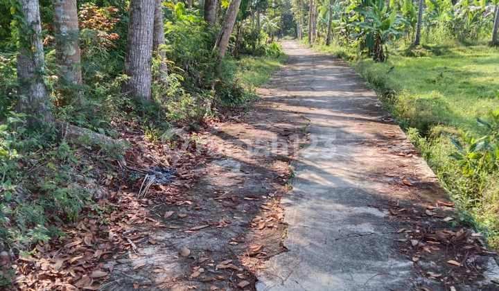 Dijual Tanah Murah Dekat Bandara Yogyakakarta Hanya Sekitar 1 Km  8