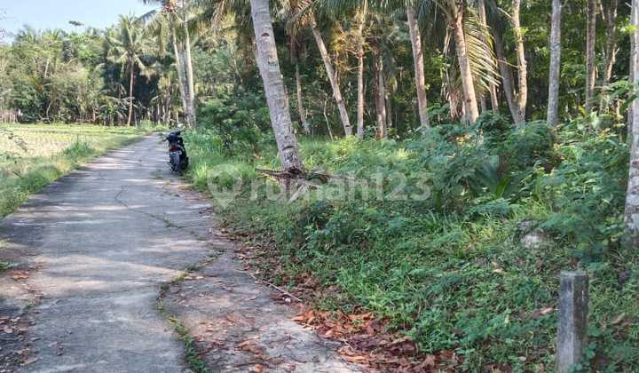 Dijual Tanah Murah Dekat Bandara Yogyakakarta Hanya Sekitar 1 Km  11