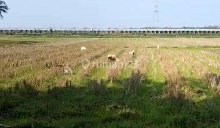 Dijual Tanah Murah Dekat Bandara Yogyakakarta Hanya Sekitar 1 Km  14