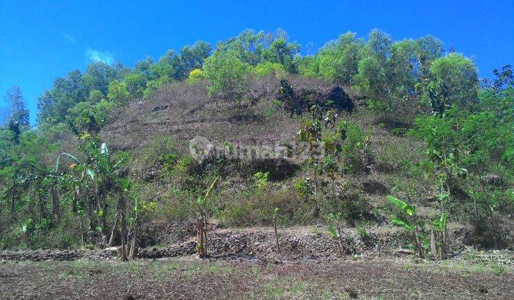 Dijual Tanah Murah Dekat Tempat Wisata di Gunung Kidul Yogyakarta 1