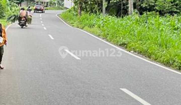 Dijual Tanah Murah Dekat Tempat Wisata di Gunung Kidul Yogyakarta 3