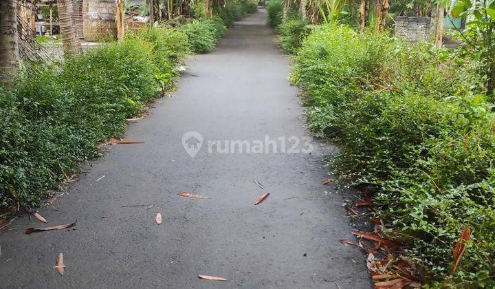 Dijual Tanah Sangat Murah Suasana Pedesaan Dekat Jalan Daendels Yogyakarta 4