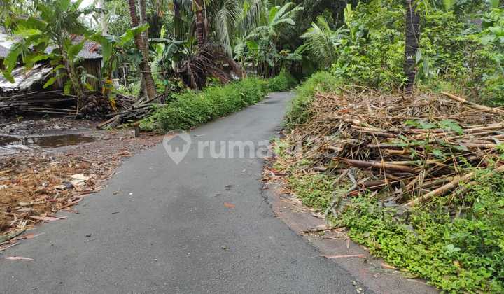 Dijual Tanah Sangat Murah Suasana Pedesaan Dekat Jalan Daendels Yogyakarta 5