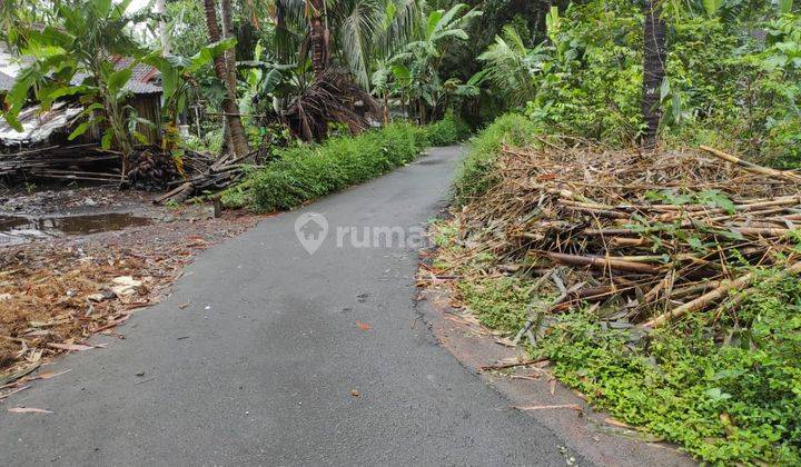 Dijual Tanah Sangat Murah Suasana Pedesaan Dekat Jalan Daendels Yogyakarta 8