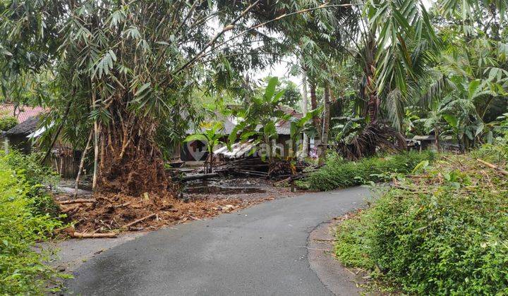 Dijual Tanah Sangat Murah Suasana Pedesaan Dekat Jalan Daendels Yogyakarta 9