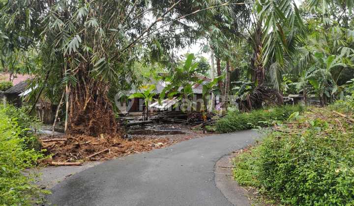 Dijual Tanah Sangat Murah Suasana Pedesaan Dekat Jalan Daendels Yogyakarta 12