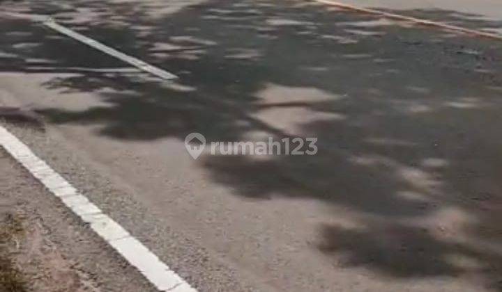 Tanah Dijual Murah Bu Dekat Bandara Yogyakarta 11