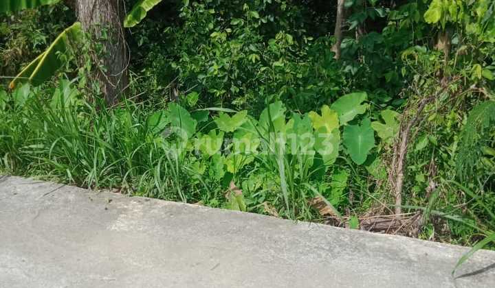Dijual Tanah Murah View Sawah Dan Bukit Menoreh Timur Bandara Yogyakarta 11