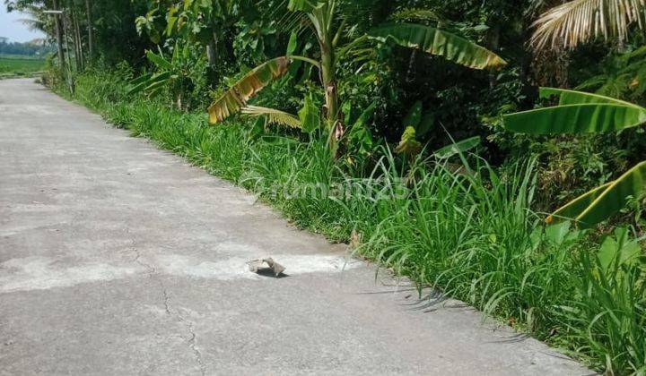 Dijual Tanah Murah View Sawah Dan Bukit Menoreh Timur Bandara Yogyakarta 12