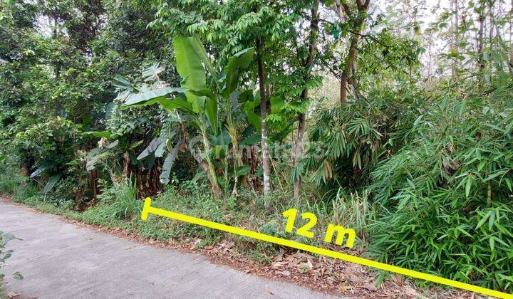 Dijual Tanah Pekarangan Bu Harga Murah Dekat Kampus Uny Yogyakarta 6