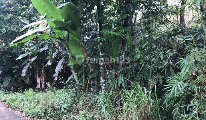 Dijual Tanah Pekarangan Bu Harga Murah Dekat Kampus Uny Yogyakarta 7