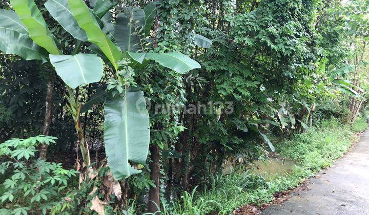 Dijual Tanah Pekarangan Bu Harga Murah Dekat Kampus Uny Yogyakarta 10