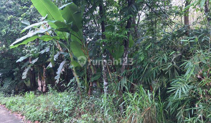 Dijual Tanah Pekarangan Bu Harga Murah Dekat Kampus Uny Yogyakarta 11