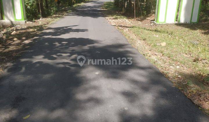 Dijual Tanah Murah Suasana Alam Pedesaan Utara Bandara Yogyakarta 1